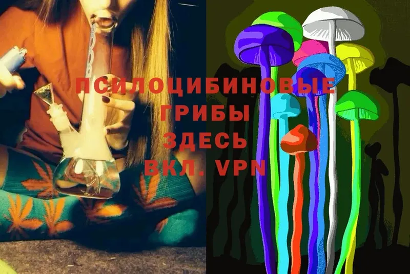 кракен ТОР  Елизаветинская  Галлюциногенные грибы MAGIC MUSHROOMS 